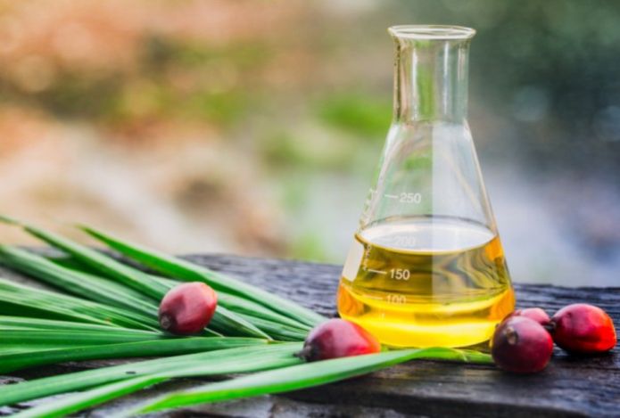 Диетолог поставил точку в спорах об опасности пальмового масла