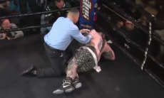 Брутальным нокаутом обернулся бой бывшего соперника Джошуа и Фьюри. Видео