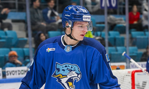 Хоккеист «Барыса» стал автором одного из лучших голов месяца в КХЛ