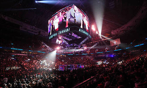 В UFC разоблачен громкий скандал