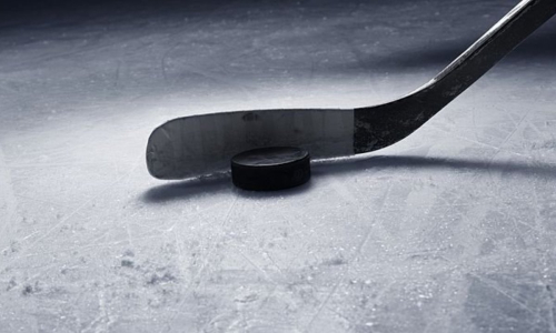 Казахстан приглашают на новый хоккейный турнир с участием Узбекистана