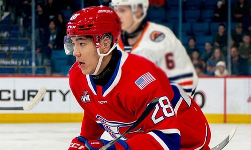 Казахстанский хоккеист обыграл команду брата в американской лиге