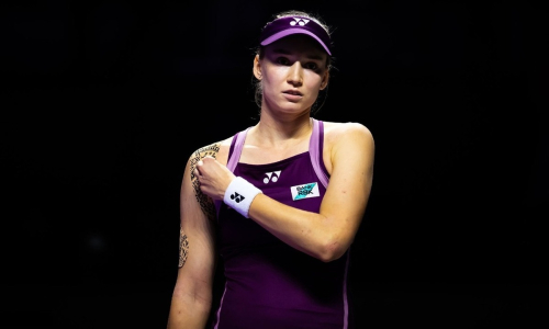 Вскрылись неожиданные факты скандала с участием Елены Рыбакиной