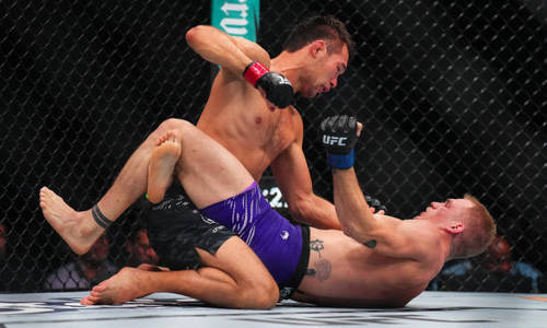 Озвучен срок возращения Шавката Рахмонова в октагон UFC