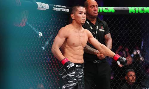 «В стойке он не слабак». Назван победитель боя Алмабаев — Перес