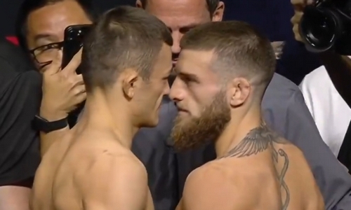 Подсчитаны шансы на победу в бою Алмахан — Топурия в UFC