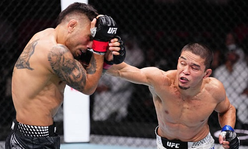 UFC опубликовал статистику боев Алмахана и Алмабаева на турнире в Дохе