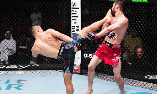 Скандального обидчика казахстанца «наказали» в UFC. Видео