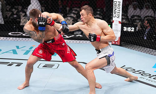 Известный инсайдер вынес вердикт бою Алмахан — Топурия в UFC