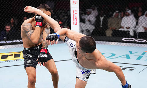 Победа Асу Алмабаева над экс-претендентом на титул UFC получила экспертную оценку