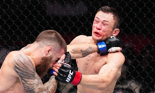 «Полное отсутствие интеллекта». Казахстанского бойца UFC подвергли резкой критике