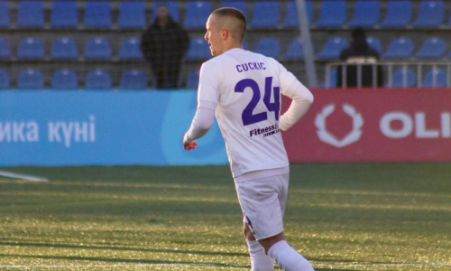 Никола Цуцкич