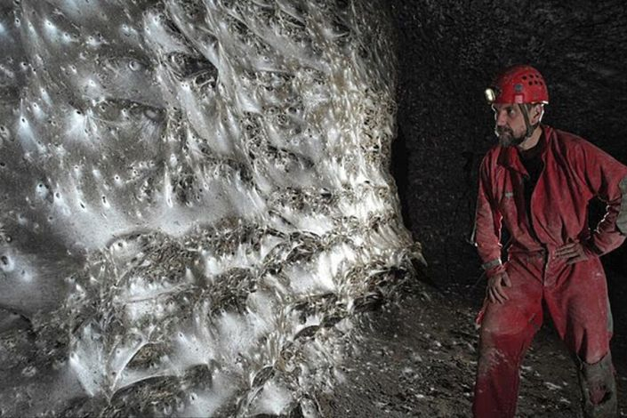 Ученые нашли самую большую в мире паутину