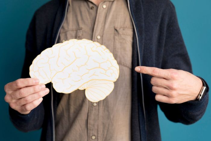 Найден необычный «защитник» нейронов от повреждения