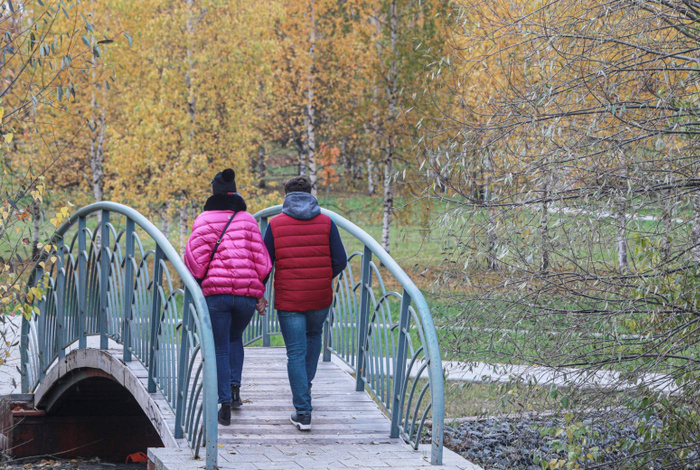 Известный врач раскрыл необходимую для здоровья норму ходьбы