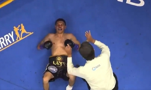 Ярким нокаутом завершился бой за три титула чемпиона мира. Видео