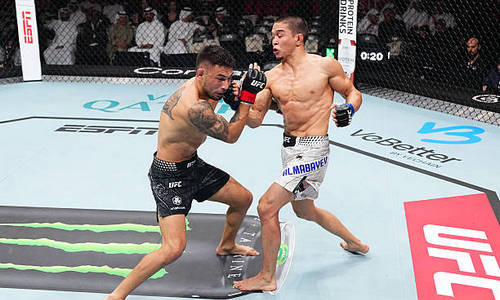 Победа Асу Алмабаева над экс-претендентом на титул UFC получила экспертную оценку