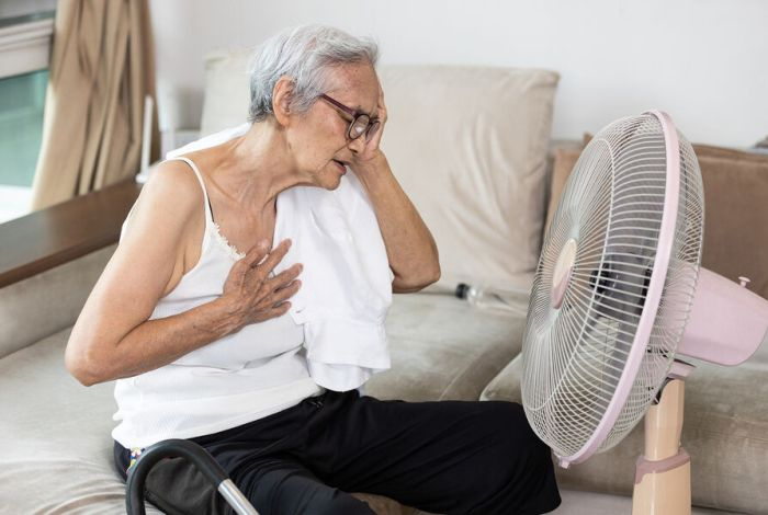 Врач рассказала, какое молоко вредно для сердца