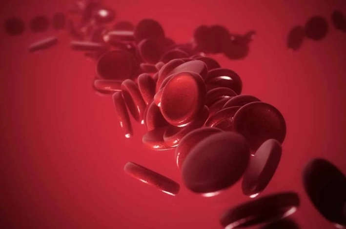 Почему возникает железодефицитная анемия