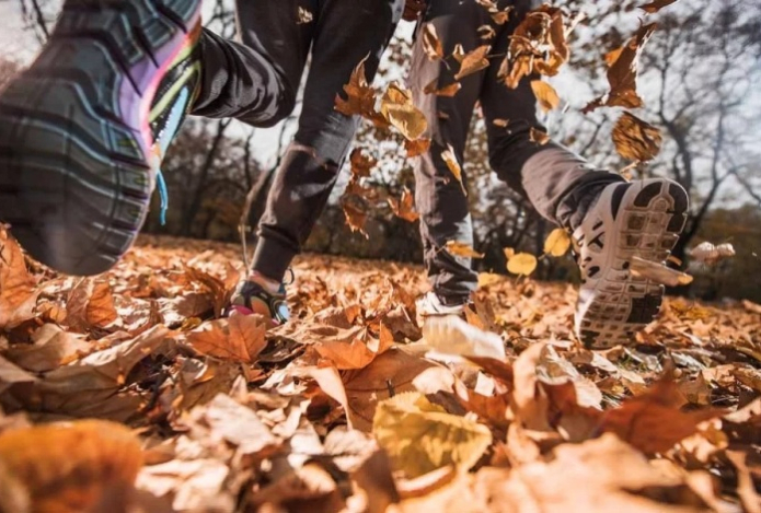 Для кого опасны осенние листья