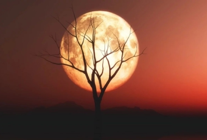 Канадский ученый объяснил, как найти следы пришельцев на Луне