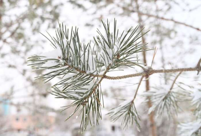 Тёплый декабрь — что прогнозируют синоптики для Казахстана
