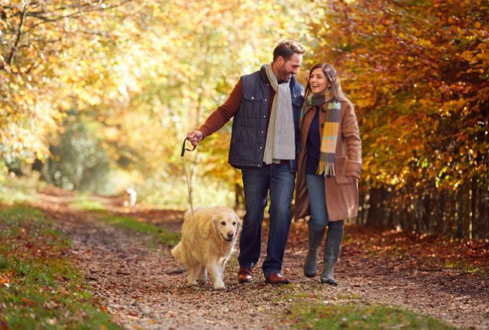 Чем полезна ходьба. Тренеры назвали научно доказанные преимущества для здоровья