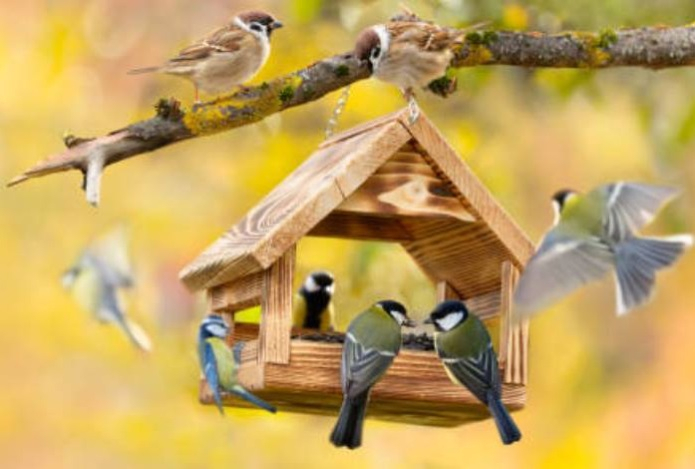 Назван неочевидный способ справиться с депрессией без лекарств