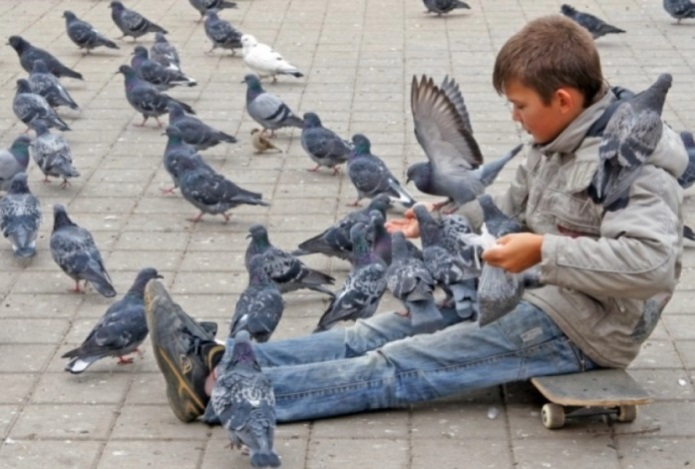 Как правильно подкармливать птиц в морозы