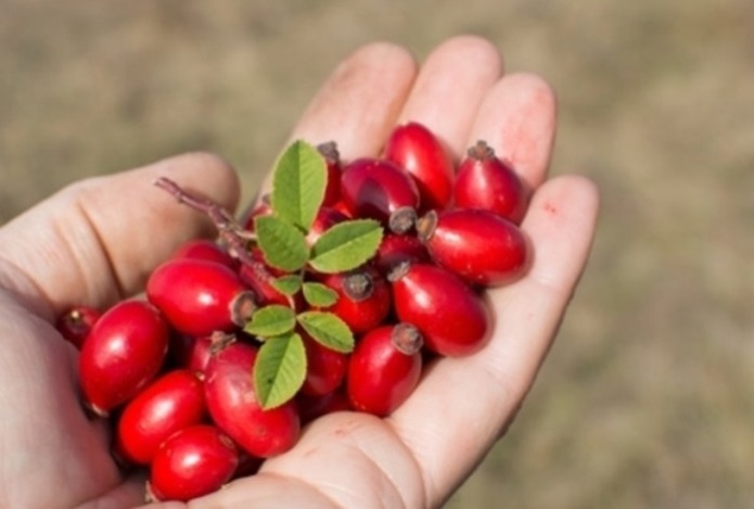 Названы продукты, из которых витамин С усваивается лучше всего