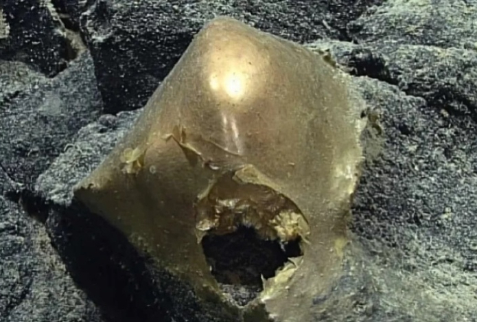 В океане на глубине 3300 метров загадочную золотую сферу