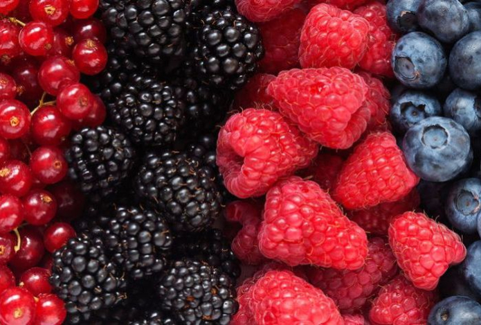 В ягодах нашли вещества, укрепляющие кости