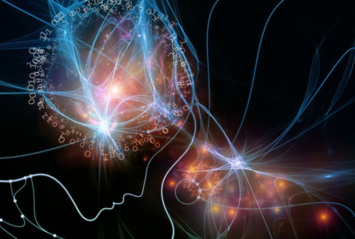 Сознание возникло раньше времени и пространства, заявила ученая