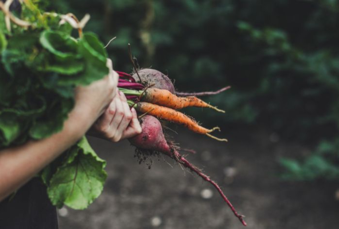 Диетолог назвала топ-5 полезных корнеплодов для зимы