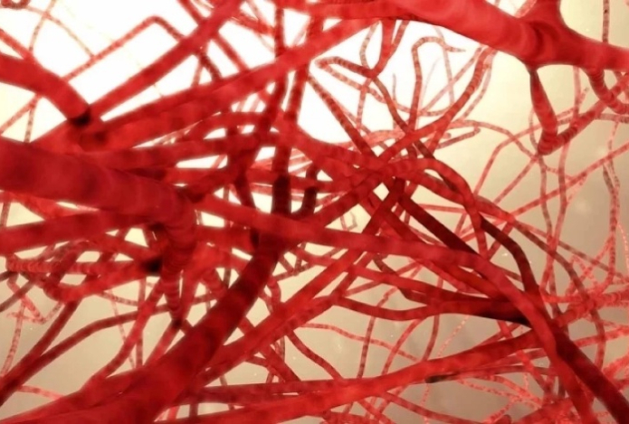 Три признака проблем с сосудами сердца, шеи и мозга