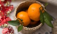 Нет новогоднего настроения? Понюхайте мандарин
