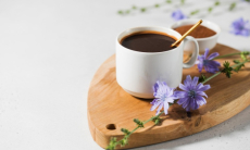 Названо неочевидное преимущество цикория