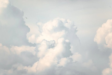 Объявлен главный цвет 2026 года