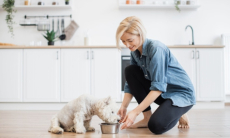 Как сделать жилье безопасным для собаки