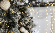 Как избежать аллергии на искусственную ель