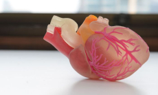 Ученые создали «пластыри» для восстановления сердца