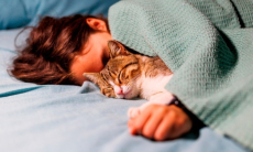 У кошек обнаружили неожиданную «визитную карточку»