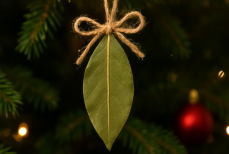 Лавровый лист, апельсины и сухоцветы — чем украсить ёлку на Новый год  2026, чтобы привлечь удачу