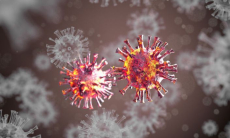 Какую смертельную опасность несут вирусы в сточных водах