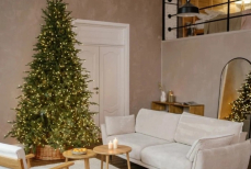 Мировые знаменитости запустили моду на «голые» елки