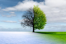 Времена года на Земле не синхронизированы