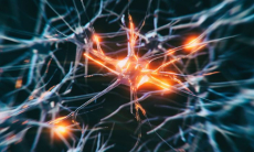 Какие простые привычки омолаживают мозг на восемь лет