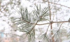 Что такое снеготерапия?