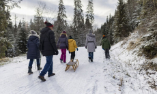 Эксперт озвучил лучшие зимние виды спорта для всей семьи