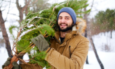 Иммунолог успокоила аллергиков перед Новым годом